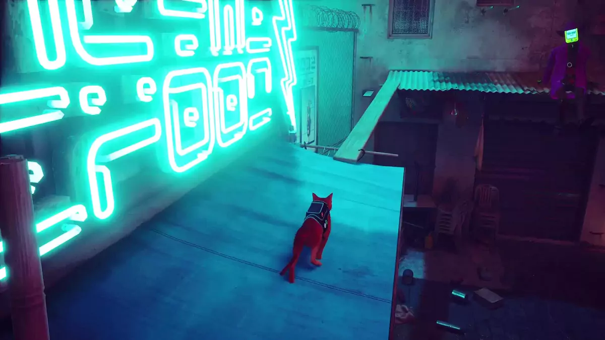 The Stray cat approaching a wooden plank on top of a canopy.