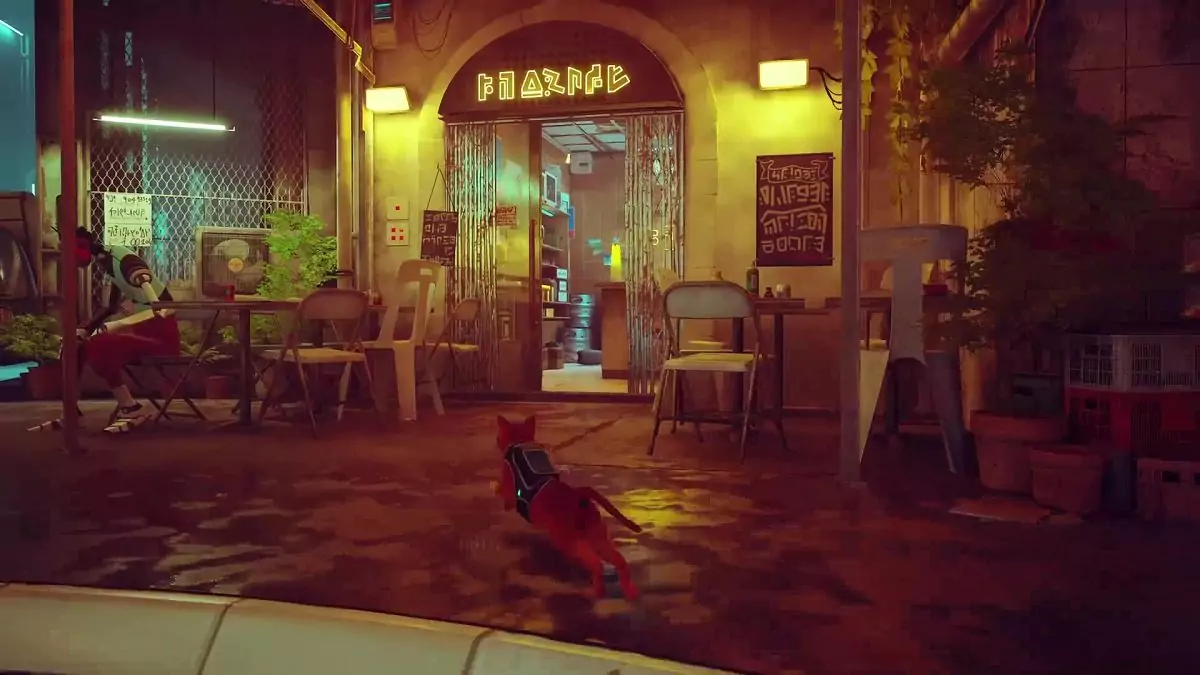 The Stray cat approaching a shop with yellow lights in Midtown.