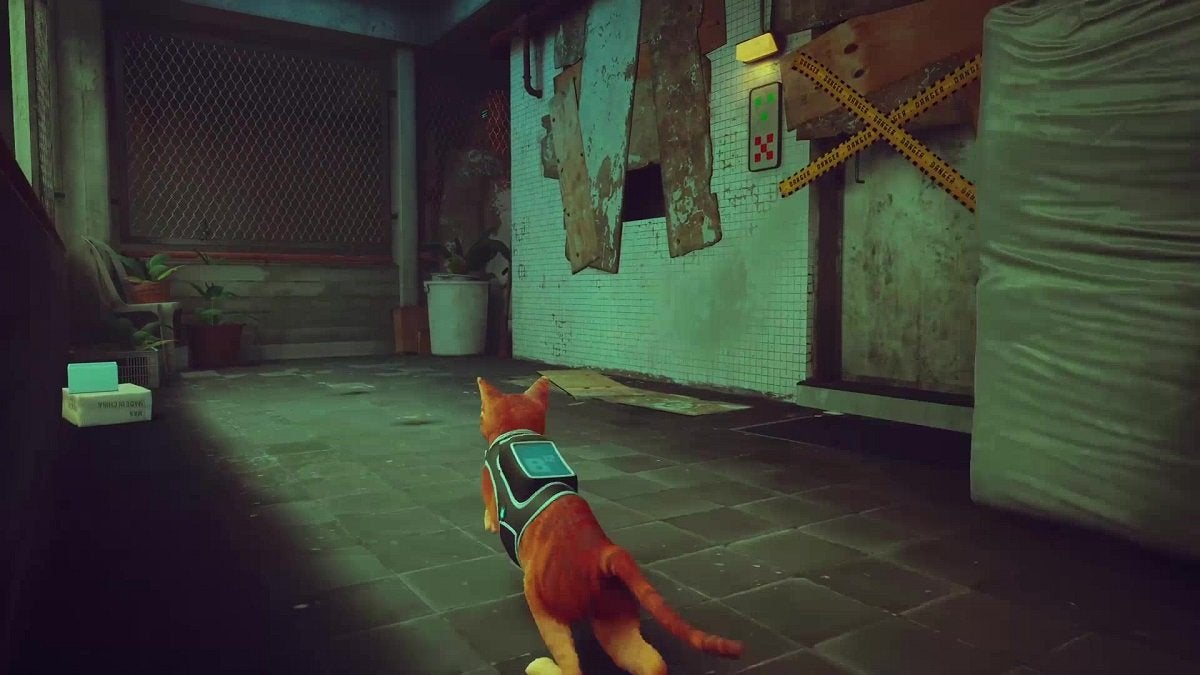 The Stray cat approaching Clementine's apartment.