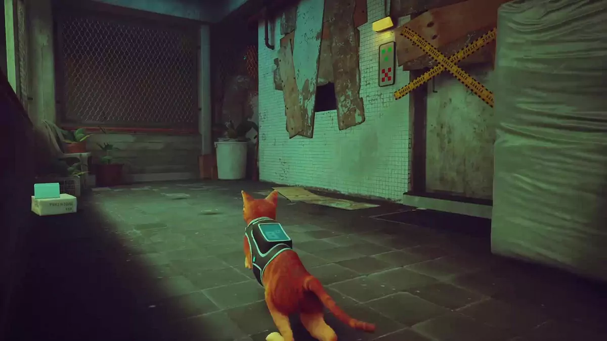 The Stray cat approaching Clementine's apartment.