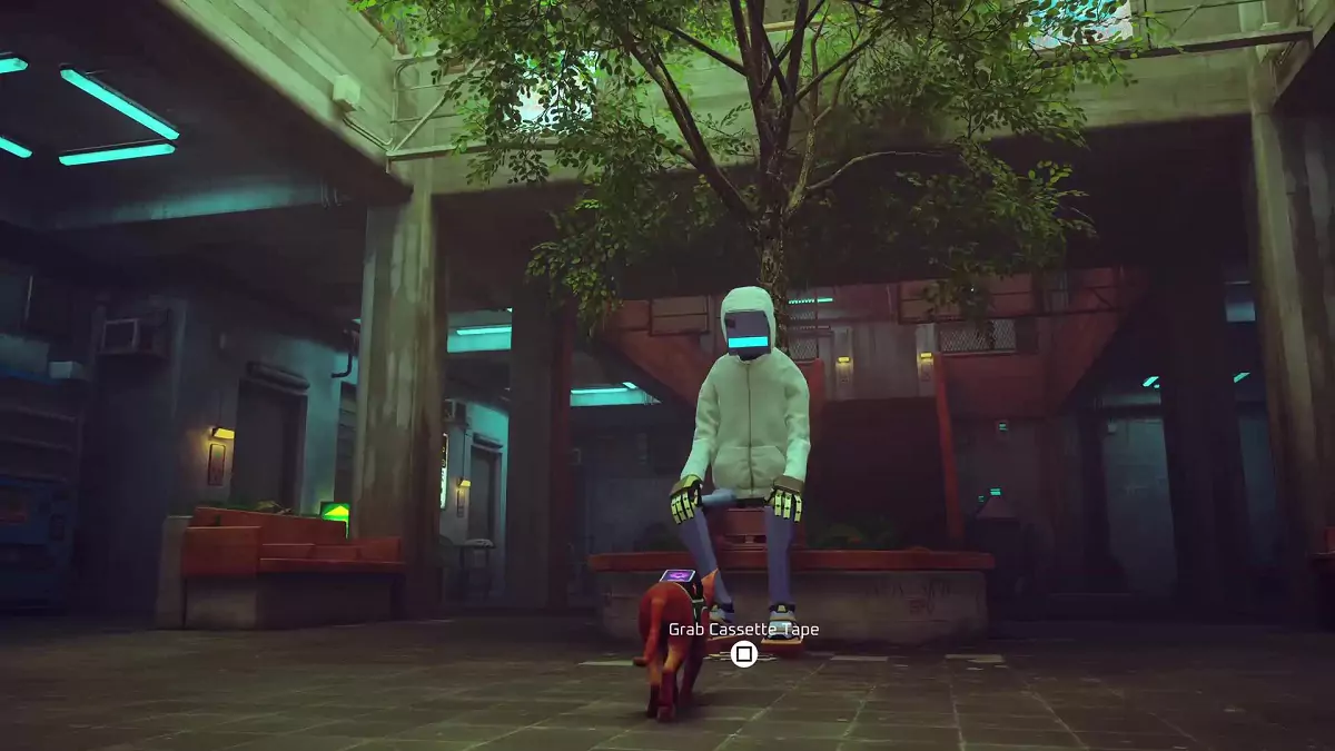 The Stray cat approaching Simon the robot.