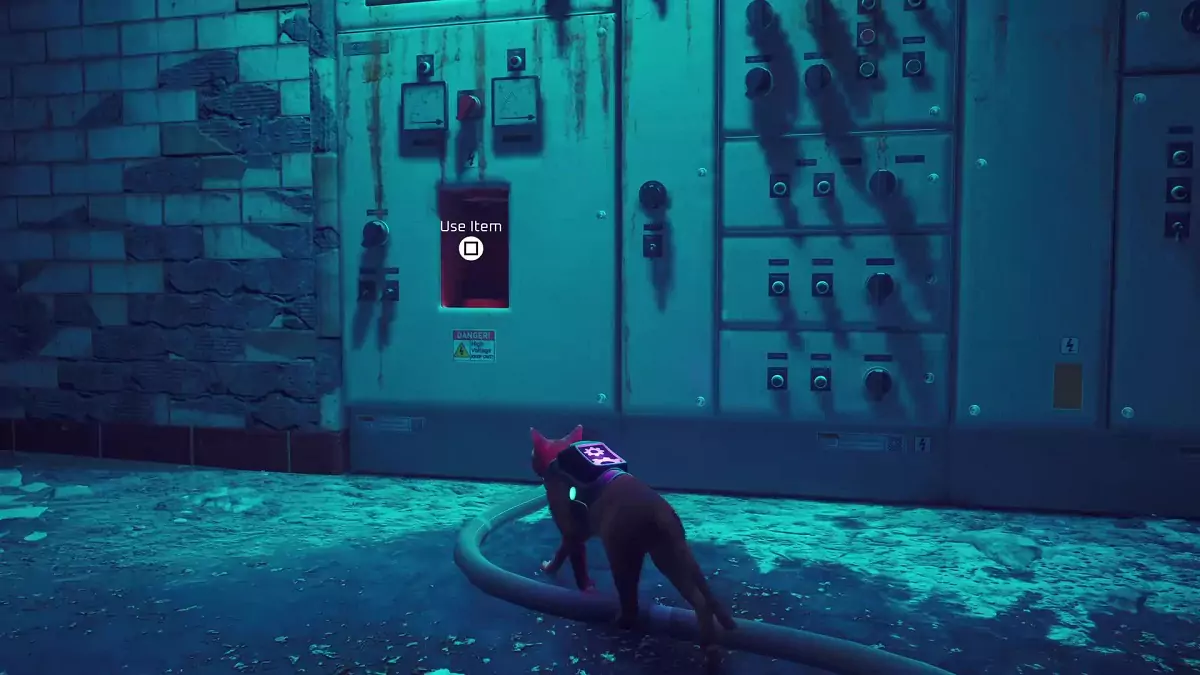 The Stray cat approaching a console that turns on the subway in Midtown.