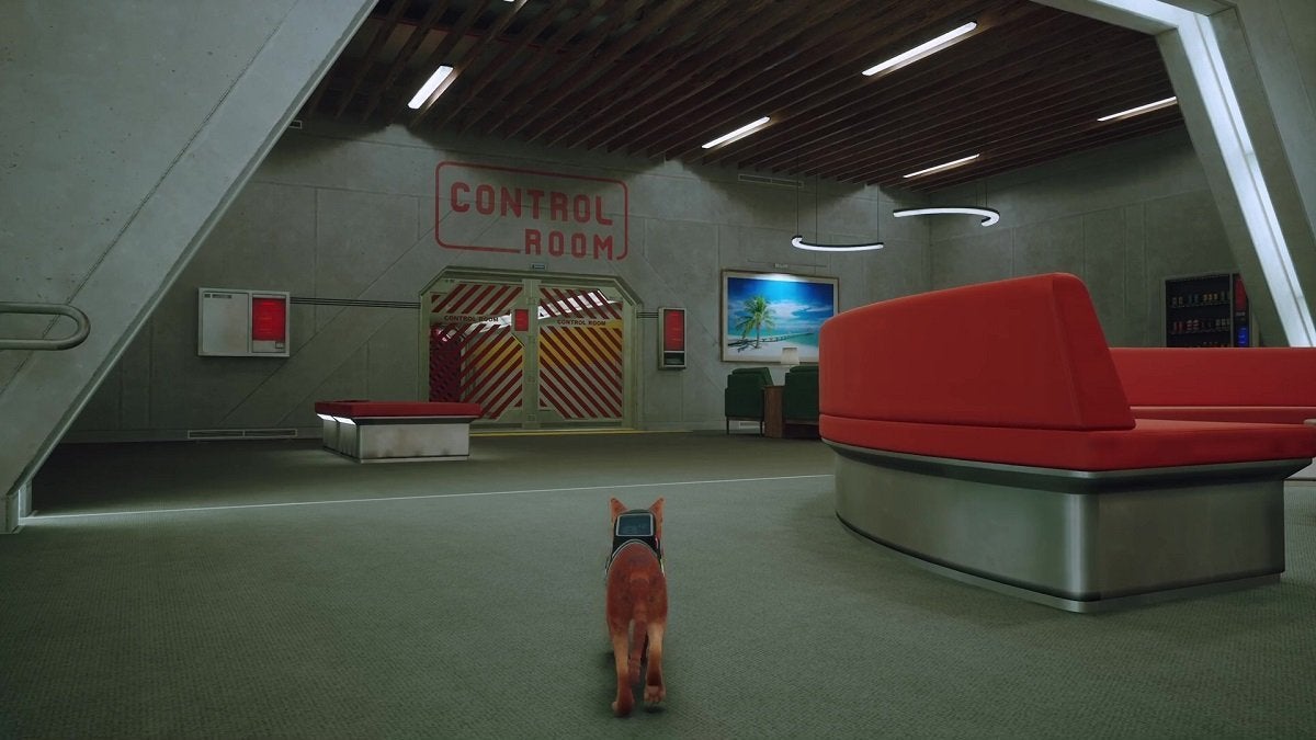 The Stray cat approaching the Control Room.