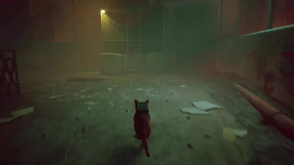 The Stray cat on the rooftops running towards a scaffolding.