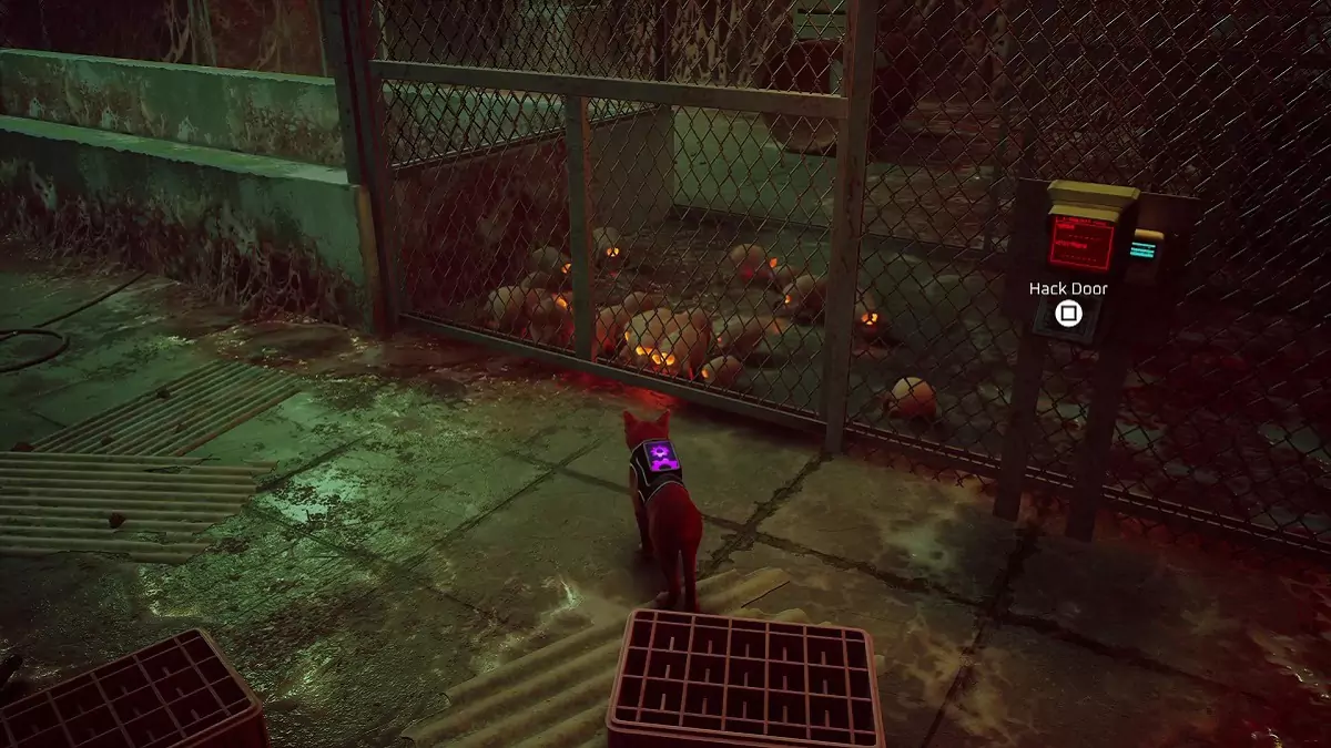 The Stray cat standing before a fence with Zurks behind it.