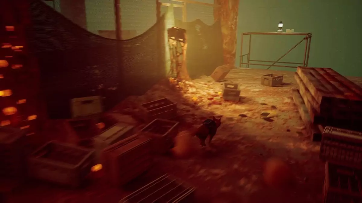The Stray cat running away from Zurks.