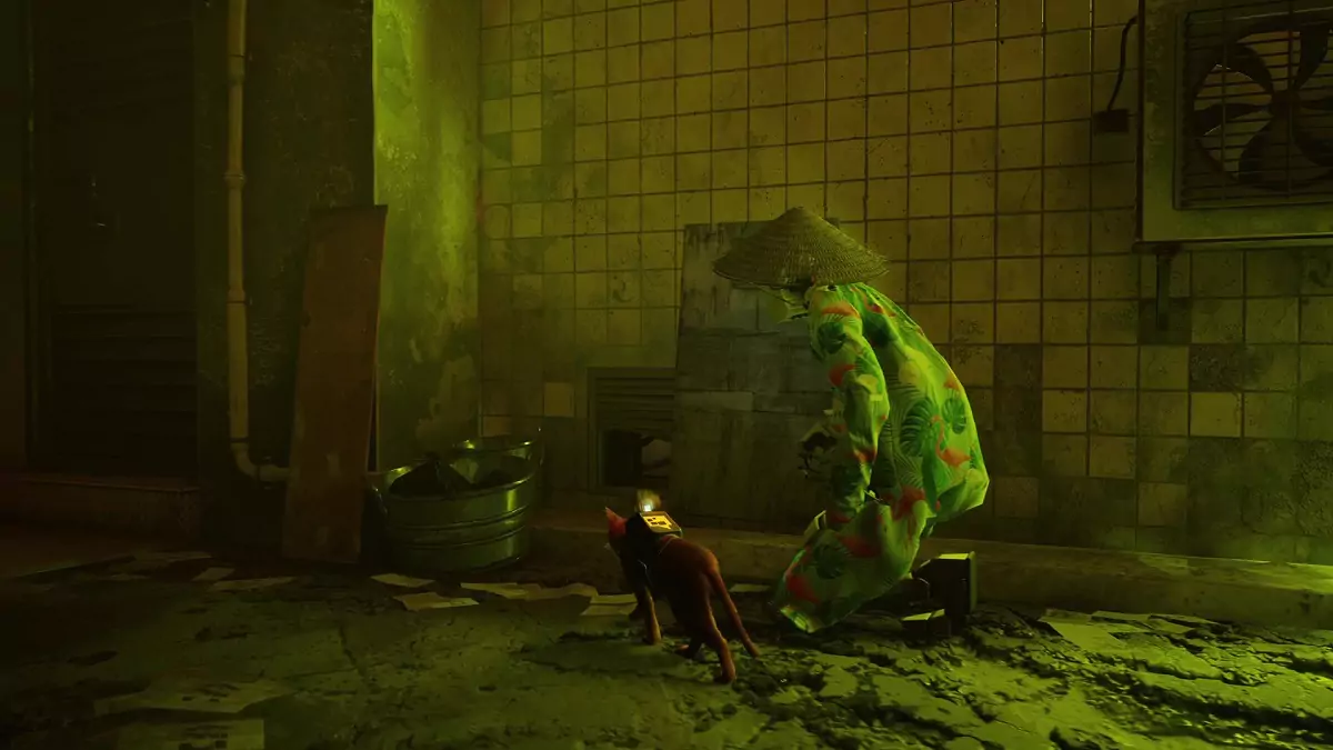 The Stray cat entering Seamus' apartment.