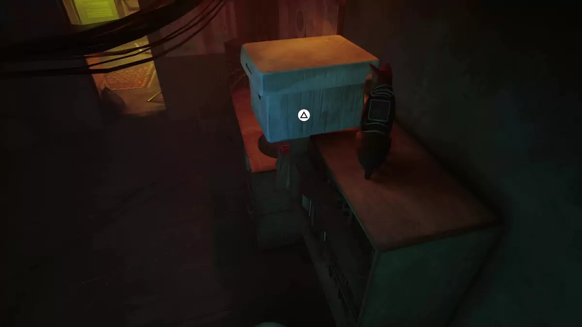 The Stray cat pushing a box off a shelf.