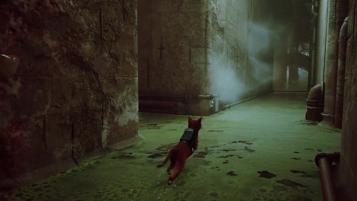The Stray cat running toward a Zurk-infested corridor in the sewers.
