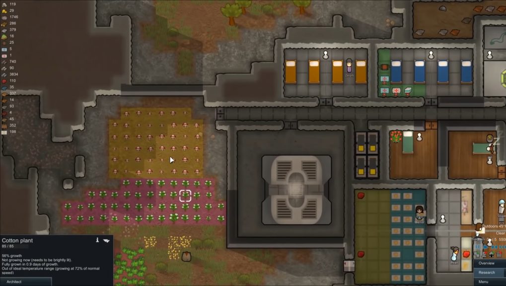 Cotton plants growing in Rimworld, allowing players to create cloth.