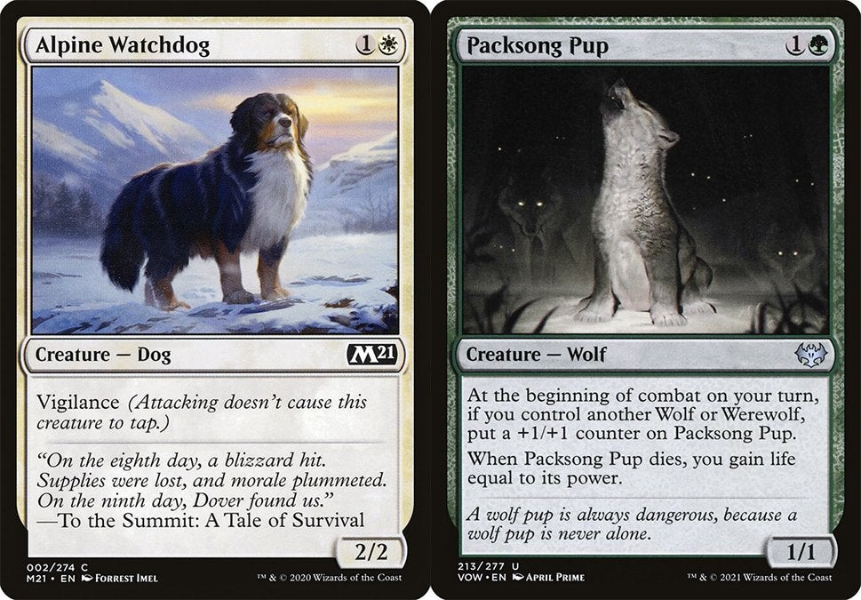 On the left is Alpine Watchdog, a white creature card with Vigilance, and, on the right is Packsong Pup, a green creature card. Both are from Magic: The Gathering.