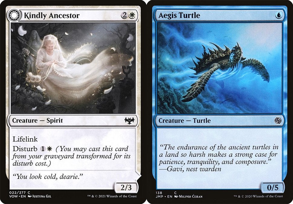 Two creatures cards from Magic: The Gathering: a white creature with Lifelink named Kindly Ancestor on the left and a blue creature named Aegis Turtle on the right.