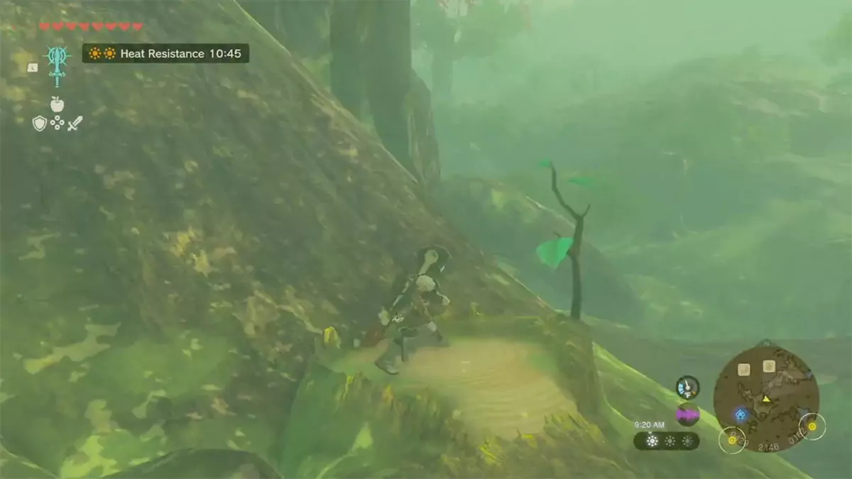 Link standing on a large root beneath the Deku Tree.