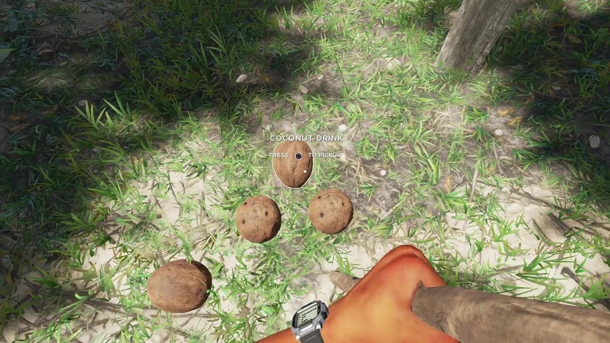 Some coconuts on the ground in Stranded Deep.