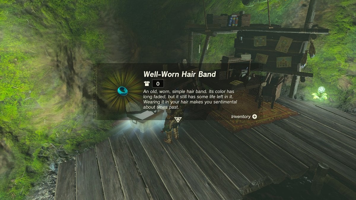 Link finding the Well-Worn Hair Band.
