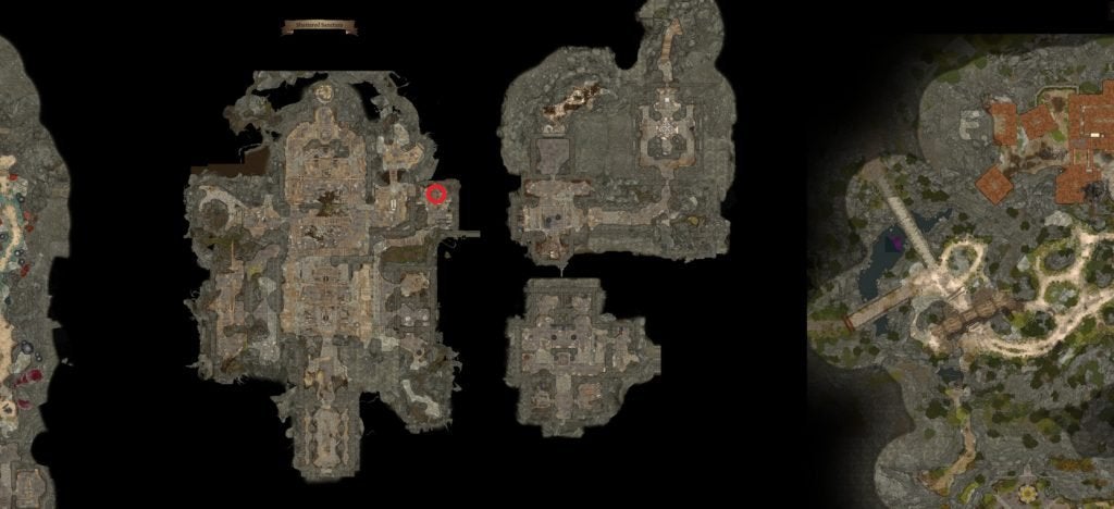 The location of the Ring of Poison Resistance in Baldur's Gate 3.