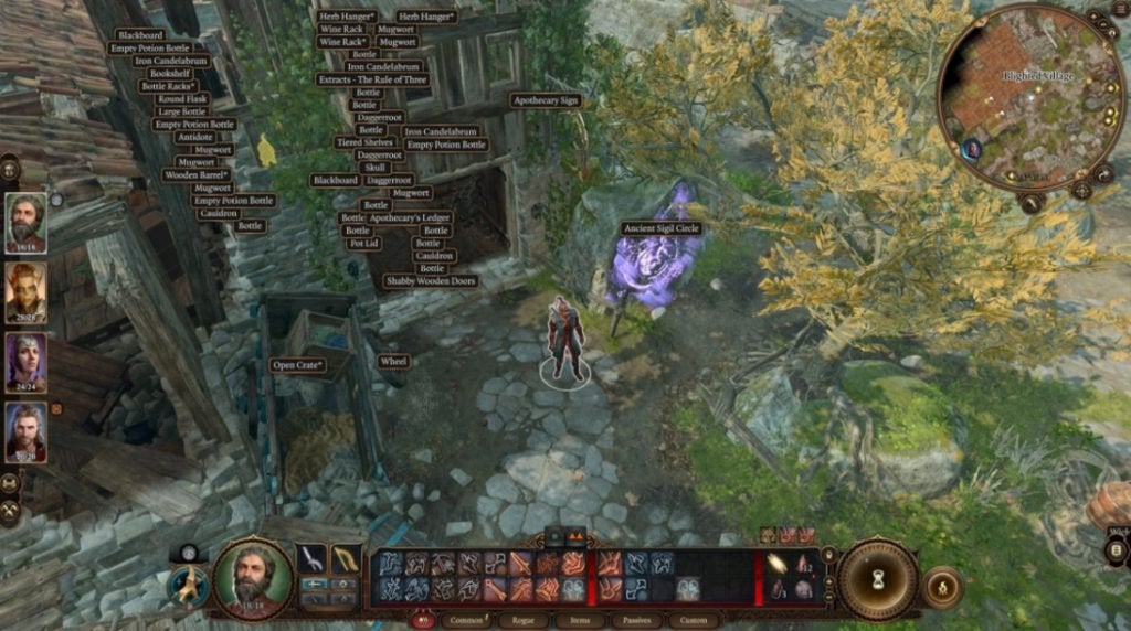 Highlight Everything, a mod for Baldur's Gate 3.