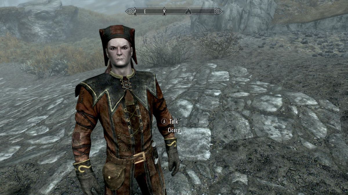 Cicero staring at the player on the roadside in Skyrim.