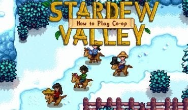 Stardew Valley: Is There Co-op?