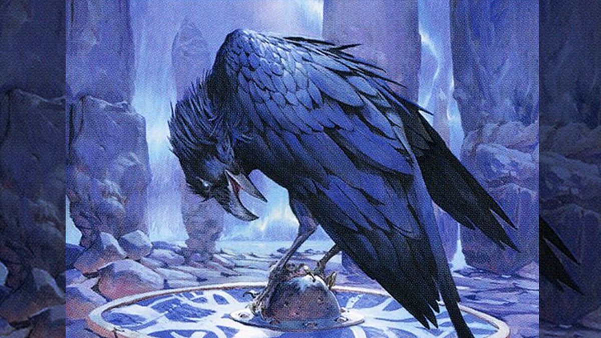 Card art from the Magic: The Gathering card called "Augury Raven."
