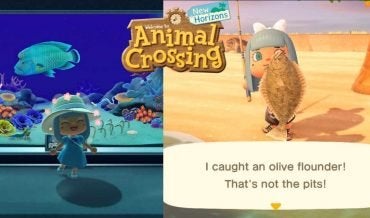 Animal Crossing: New Horizons—Fish Guide
