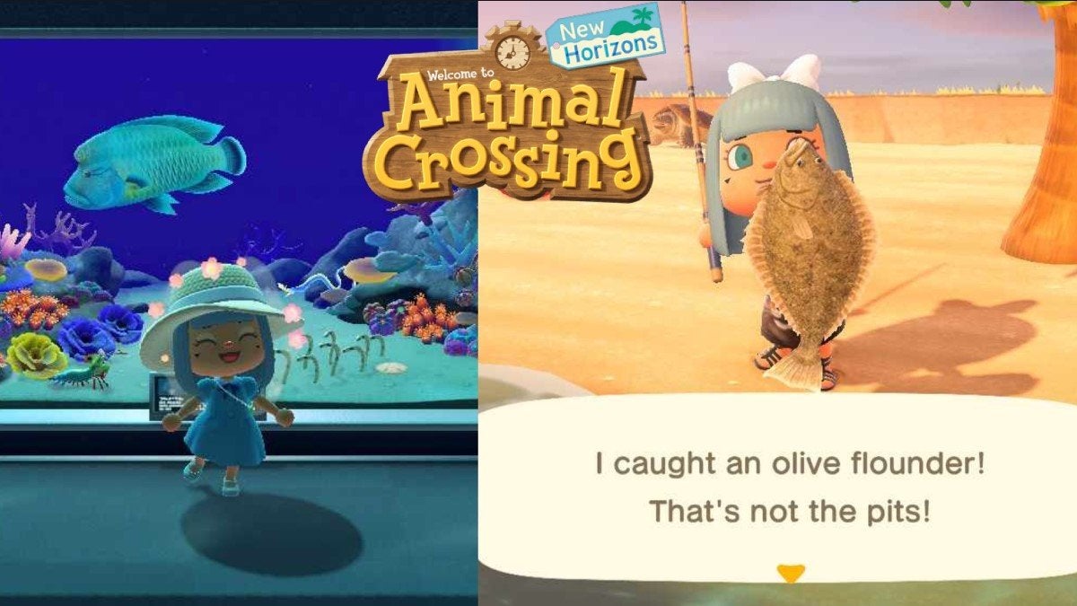 On the left is a player in their Museum Aquarium, and on the right is an Olive Flounder fish, caught by a player in-game.