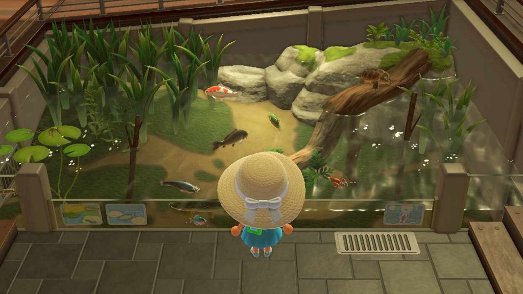 A player looking at the fish they've donated to the Museum. 