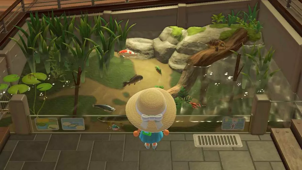 A player looking at the fish they've donated to the Museum.