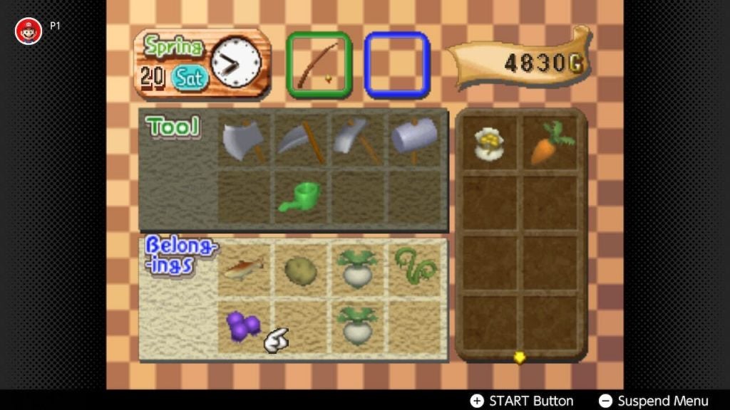 Carrying Ingredients for Recipes in Harvest Moon 64.