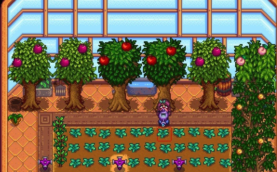 A player watering crops in the Greenhouse. 