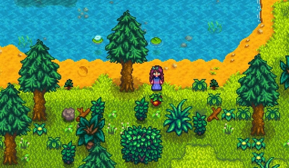 A player leveling up the Foraging skill in Cindersap Forest.