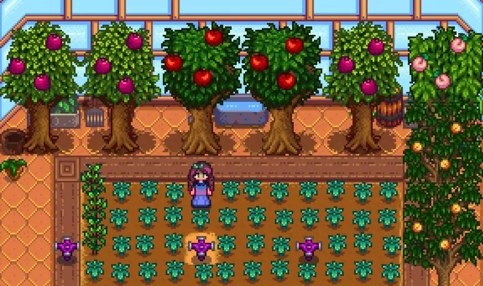 A player's Greenhouse containing Fruit Trees, Starfruit crops, and Iridium Sprinklers. 