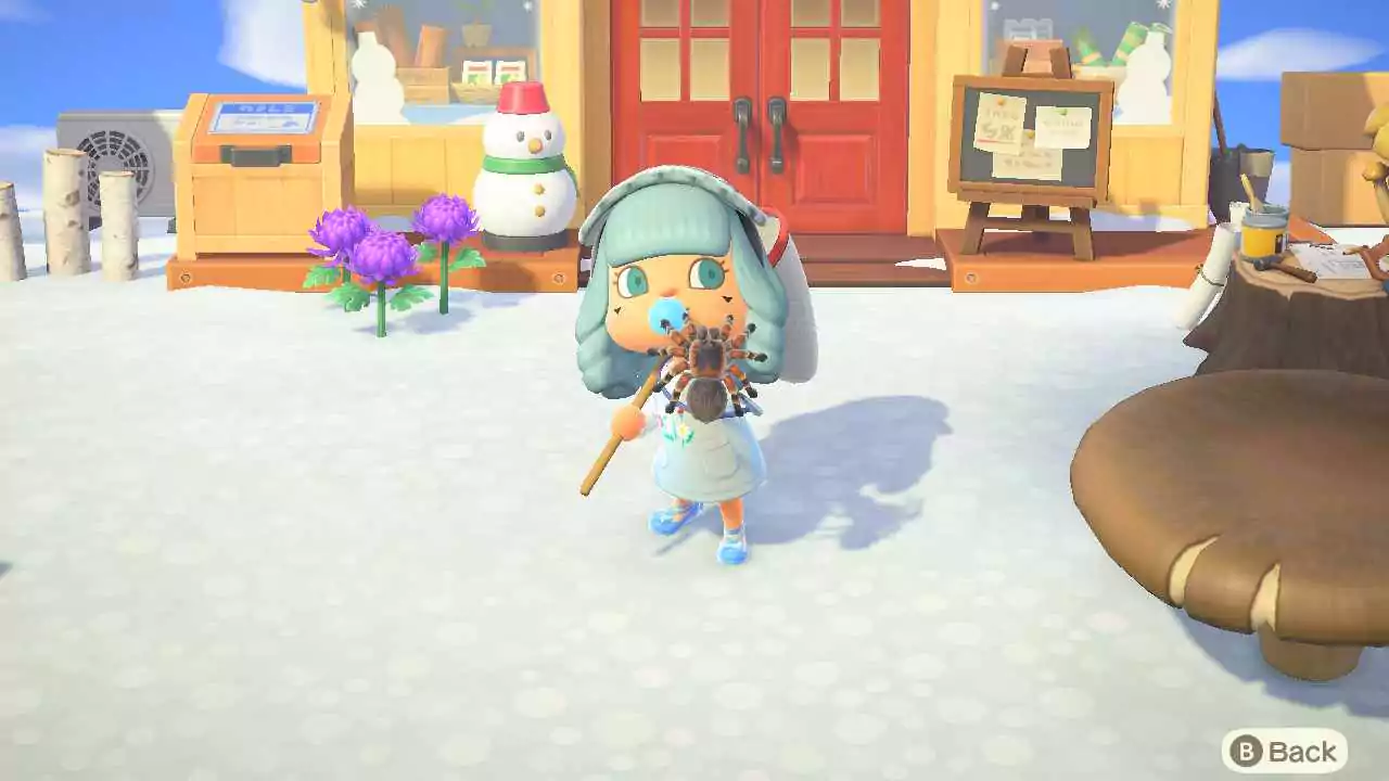 A player showing off a Tarantula they have caught and kept. 