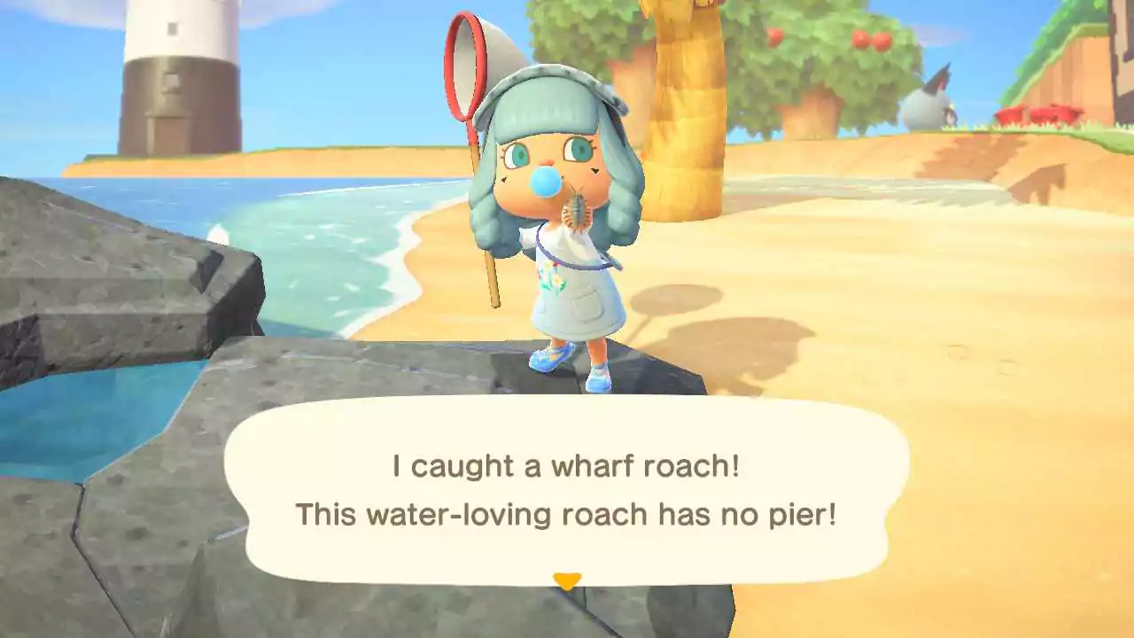 A Wharf Roach insect. 