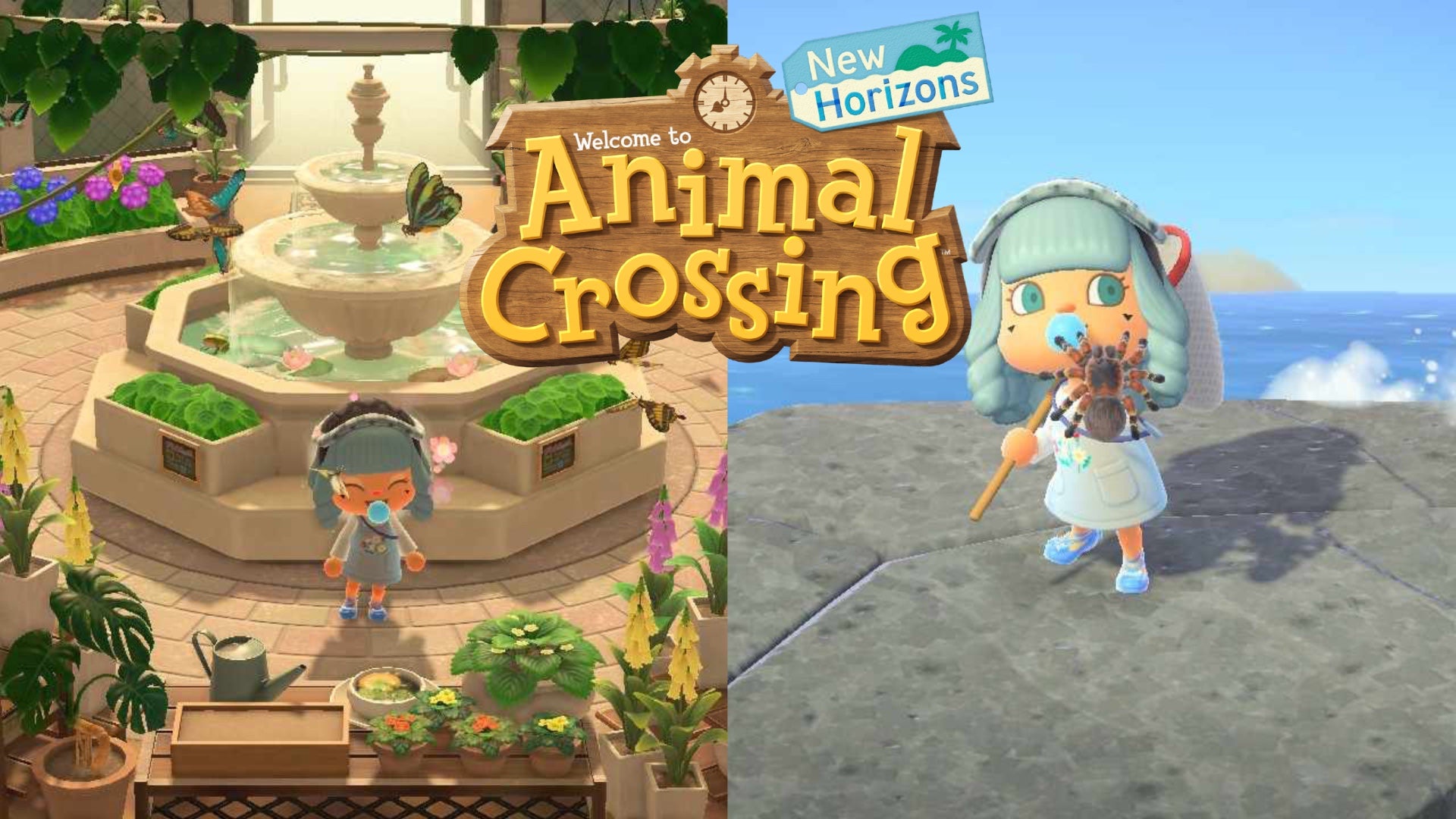 On the left is a player inside a butterfly exhibit in Animal Crossing, the right shows a player holding a captured tarantula.