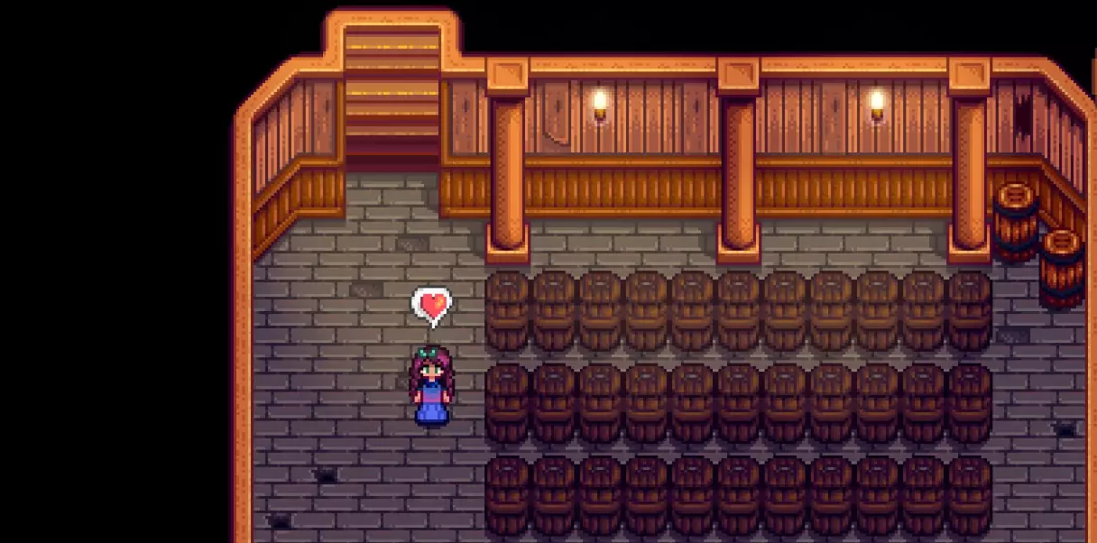 A cellar in a fully-upgraded house, full of casks for aging wine and cheese. 