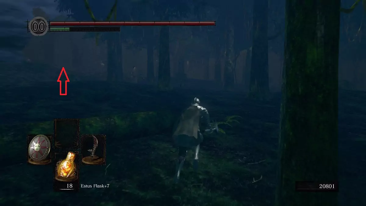 The Chosen Undead running towards Alvina's location in Darkroot Garden.
