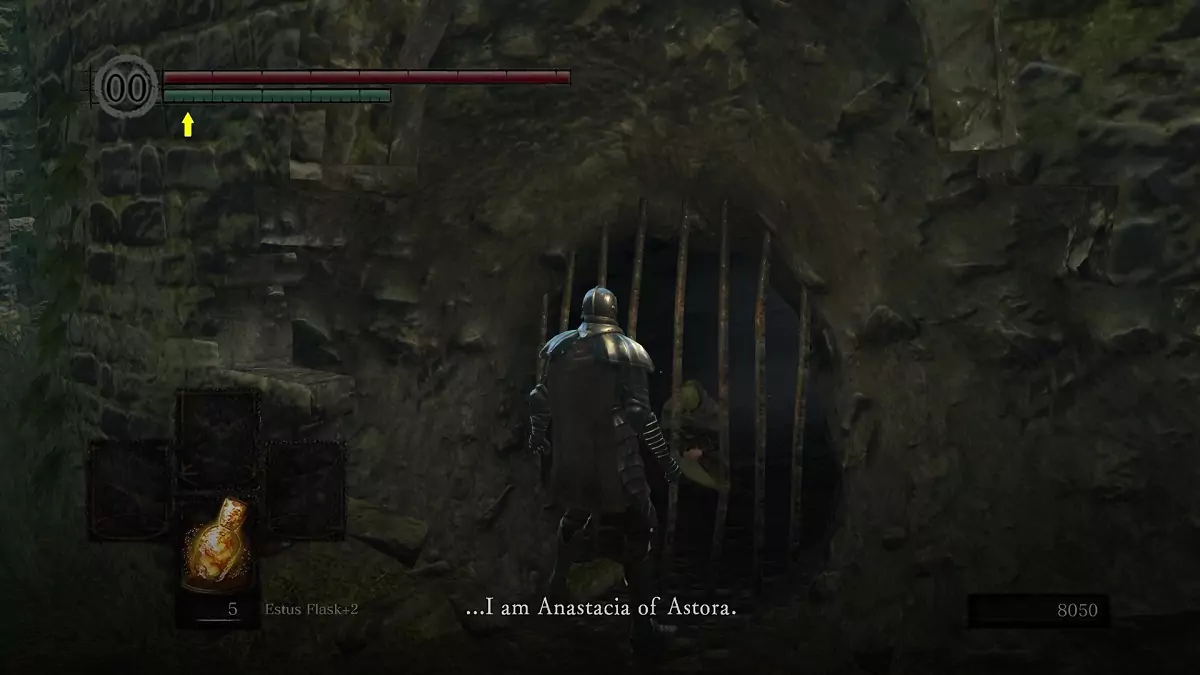 The Chosen Undead and Anastacia of Astora.