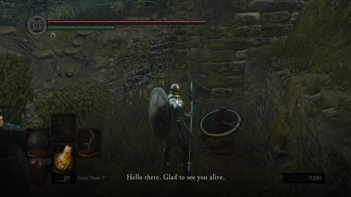 The Chosen Undead and Big Hat Logan.