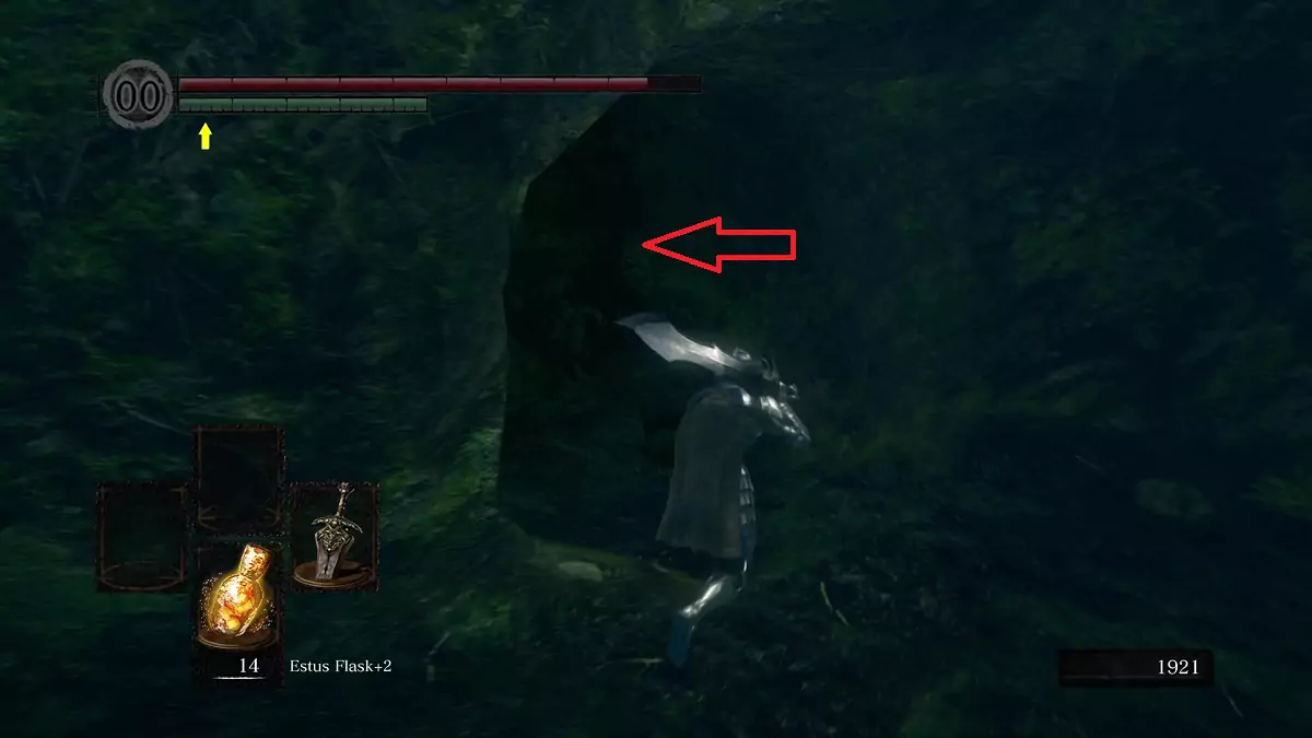 The Chosen Undead running towards a cave in Darkroot Basin.