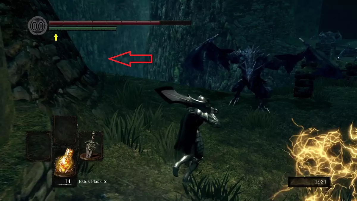 The Chosen Undead facing a Drake.