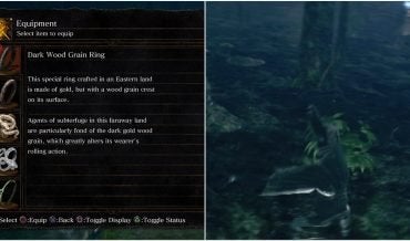Dark Souls: How to Get the Dark Wood Grain Ring