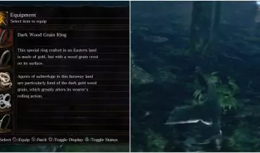 Dark Souls: How to Get the Dark Wood Grain Ring