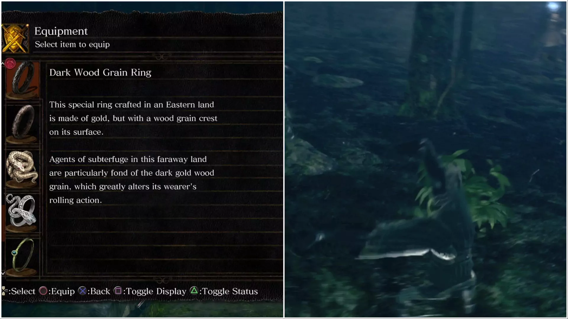 The Dark Wood Grain Ring from Dark Souls.