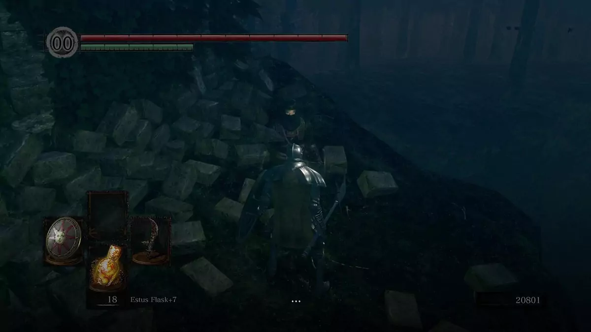 The Chosen Undead talking to an NPC in Darkroot Garden.