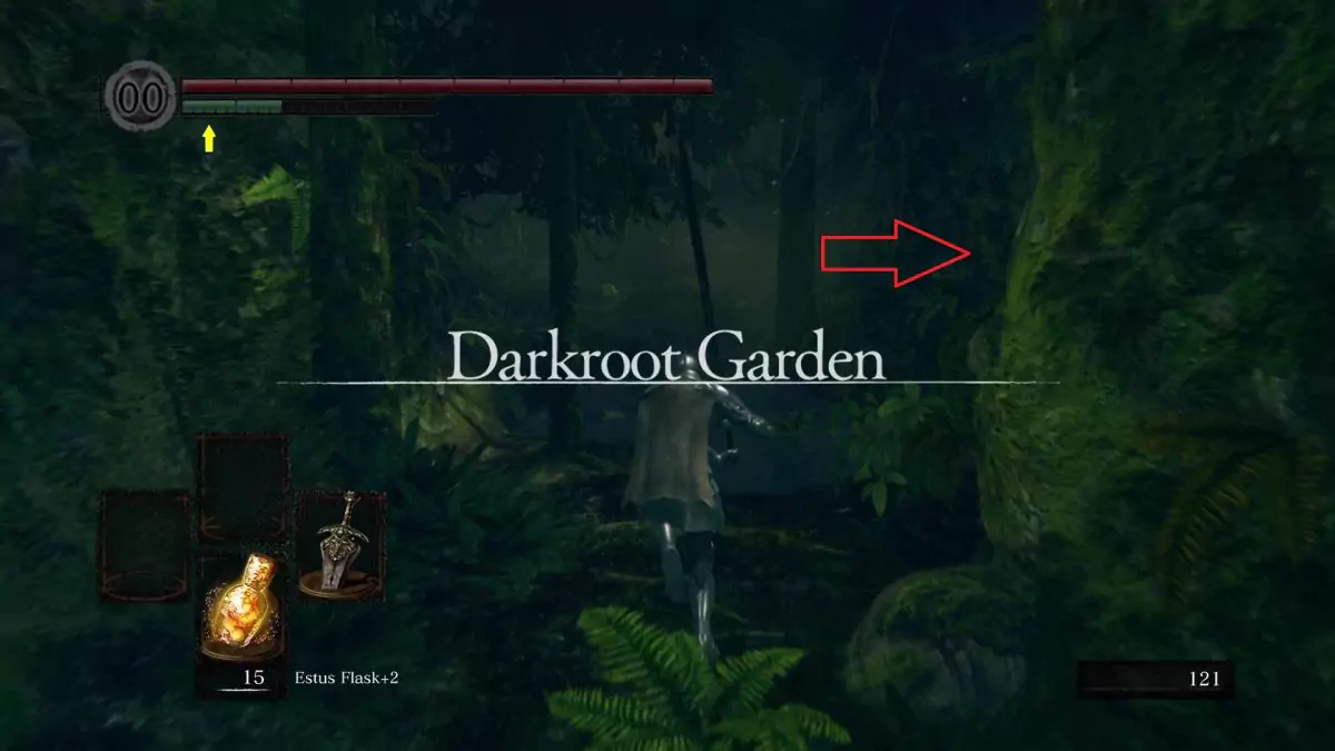 The Chosen Undead in Darkroot Garden.