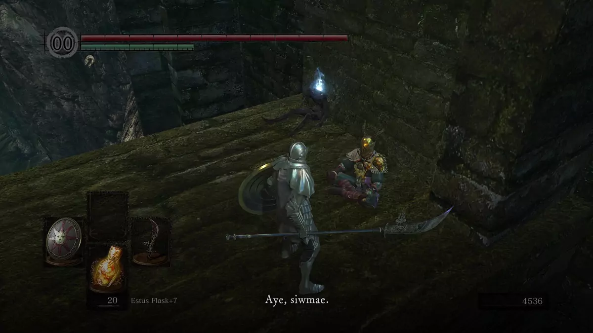 The Chosen Undead and Domhnall of Zena.