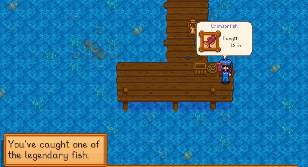 The player holding the red Crimsonfish above their head after catching it in Stardew Valley.
