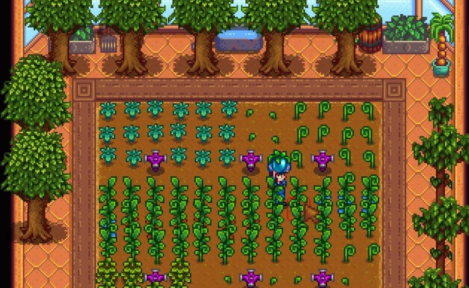A player harvesting Ancient Fruit in Stardew Valley.