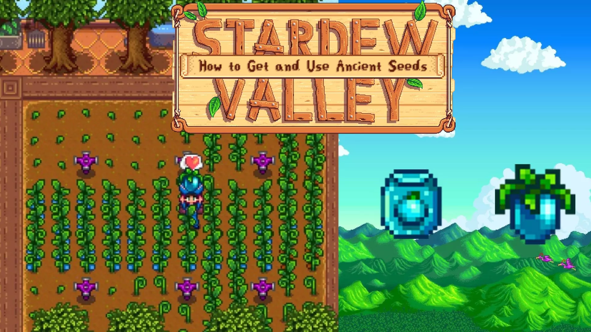 To the left is a player holding an Ancient Fruit, to the right is a packet of Ancient Seeds.